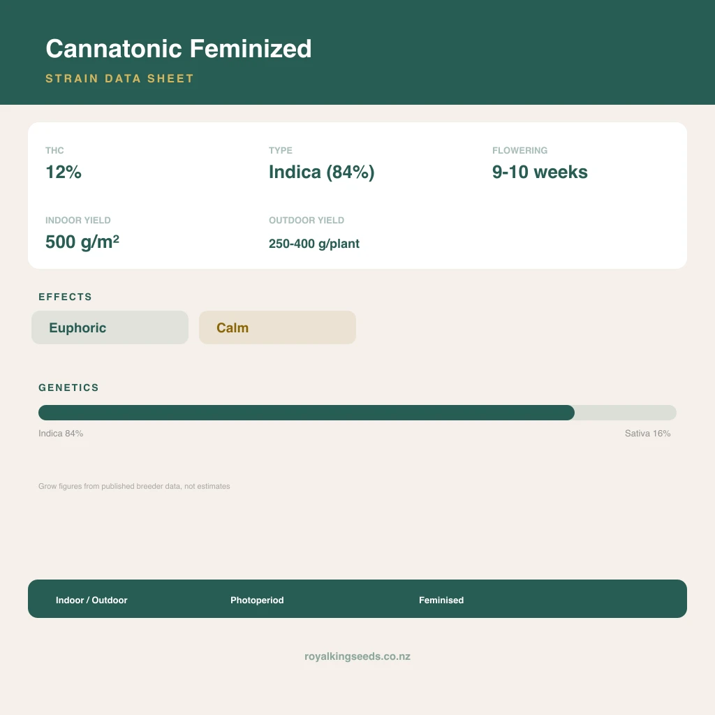 Cannatonic 84% indica / 16% sativa flower with visible trichomes
