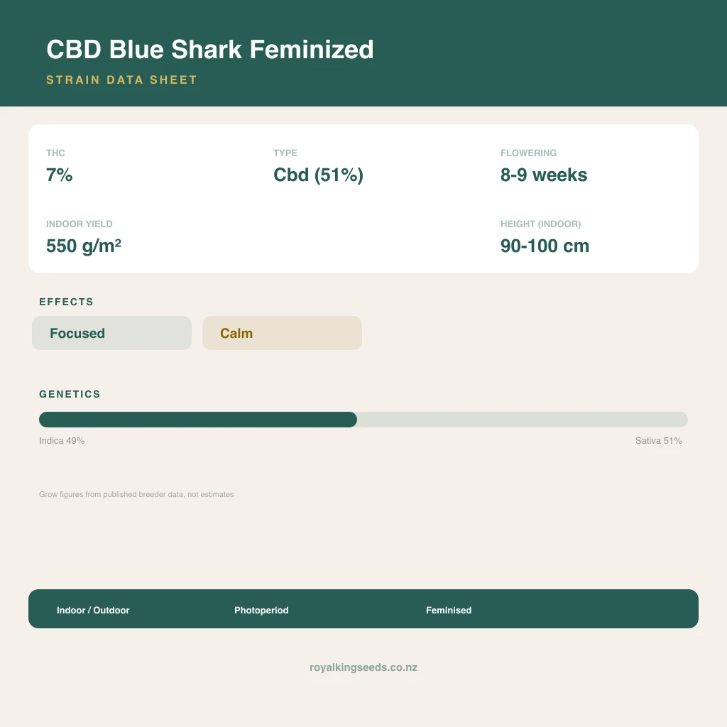 CBD Blue Shark 49% indica / 51% sativa flower with visible trichomes