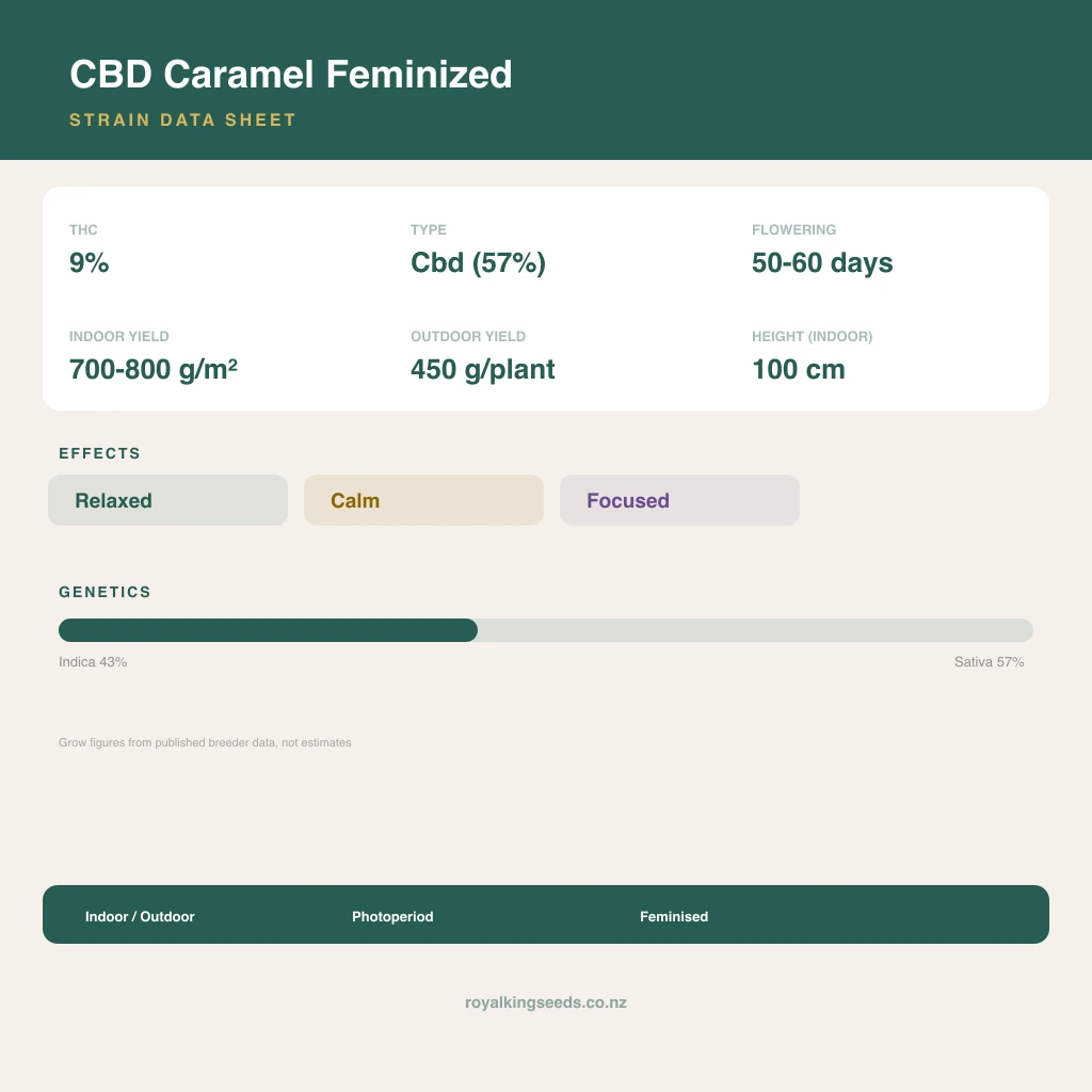 CBD Caramel 43% indica / 57% sativa flower with visible trichomes