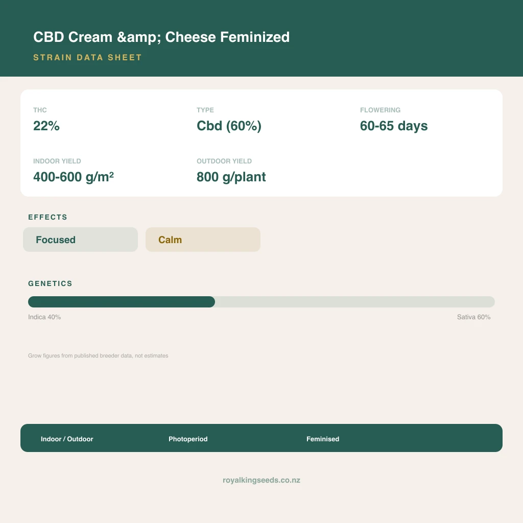 CBD Cream & Cheese 40% indica / 60% sativa flower with visible trichomes