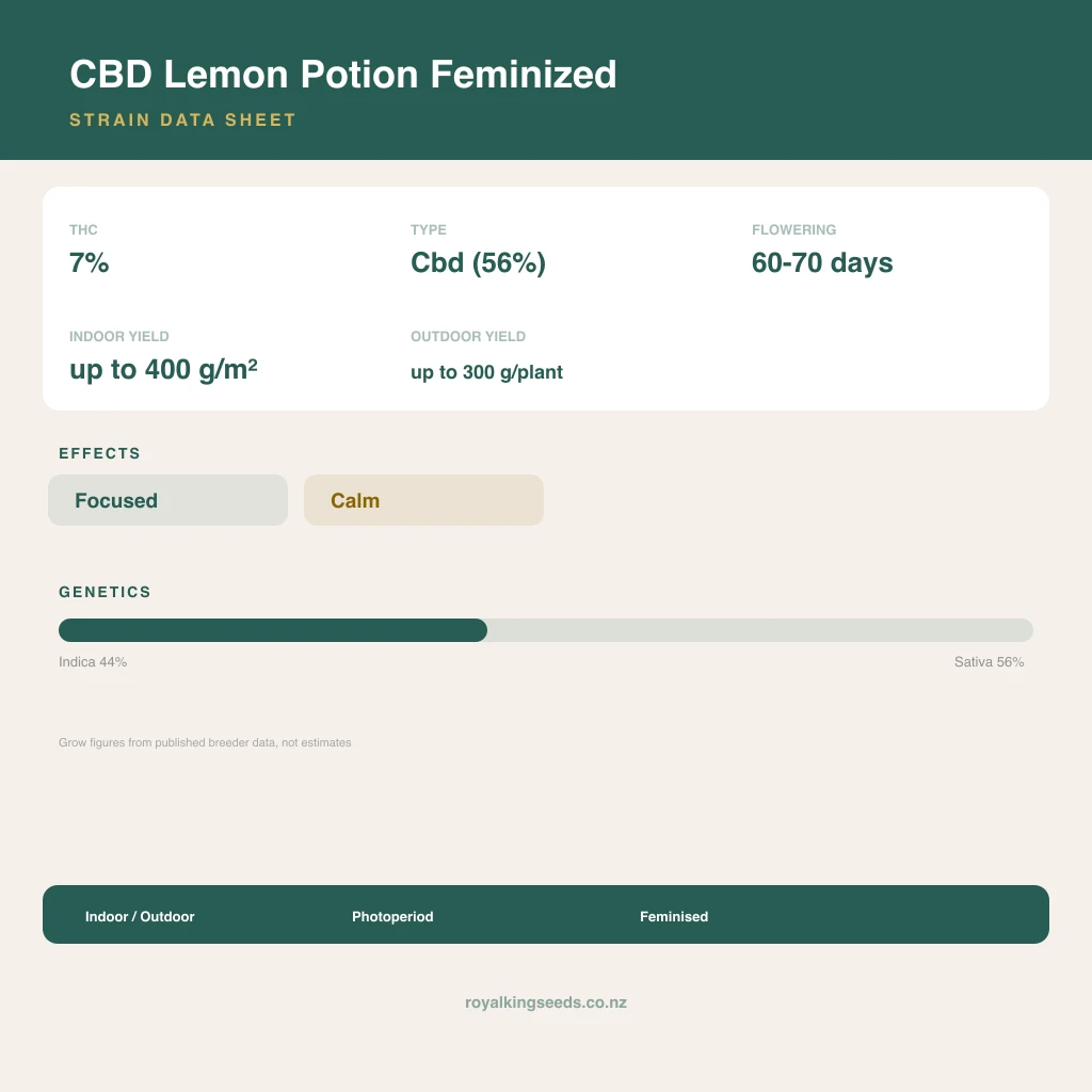 CBD Lemon Potion 44% indica / 56% sativa flower with visible trichomes