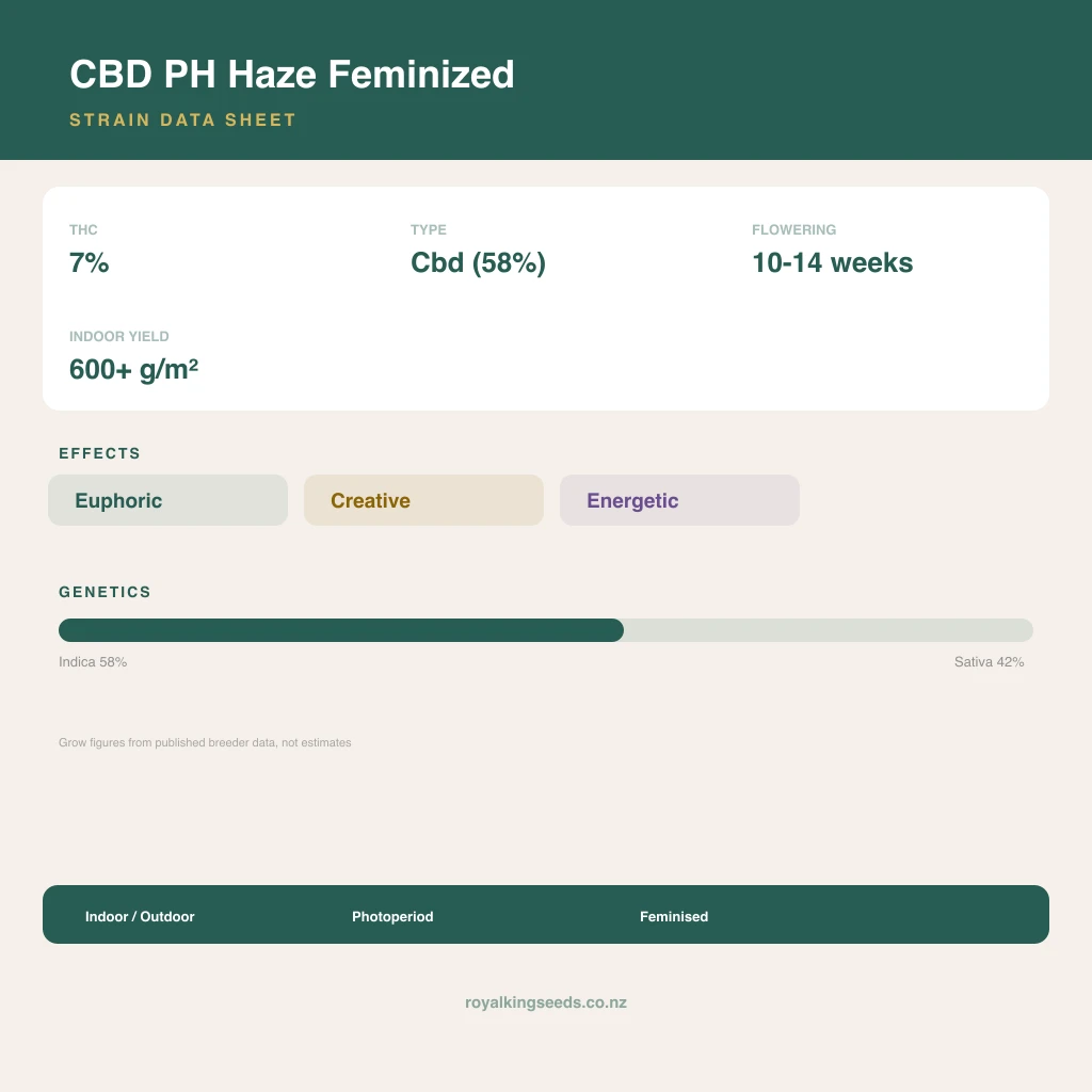 CBD PH Haze 58% indica / 42% sativa flower with visible trichomes
