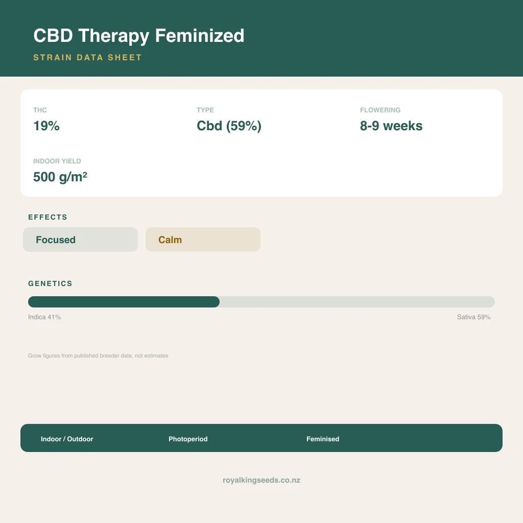 CBD Therapy 41% indica / 59% sativa flower with visible trichomes