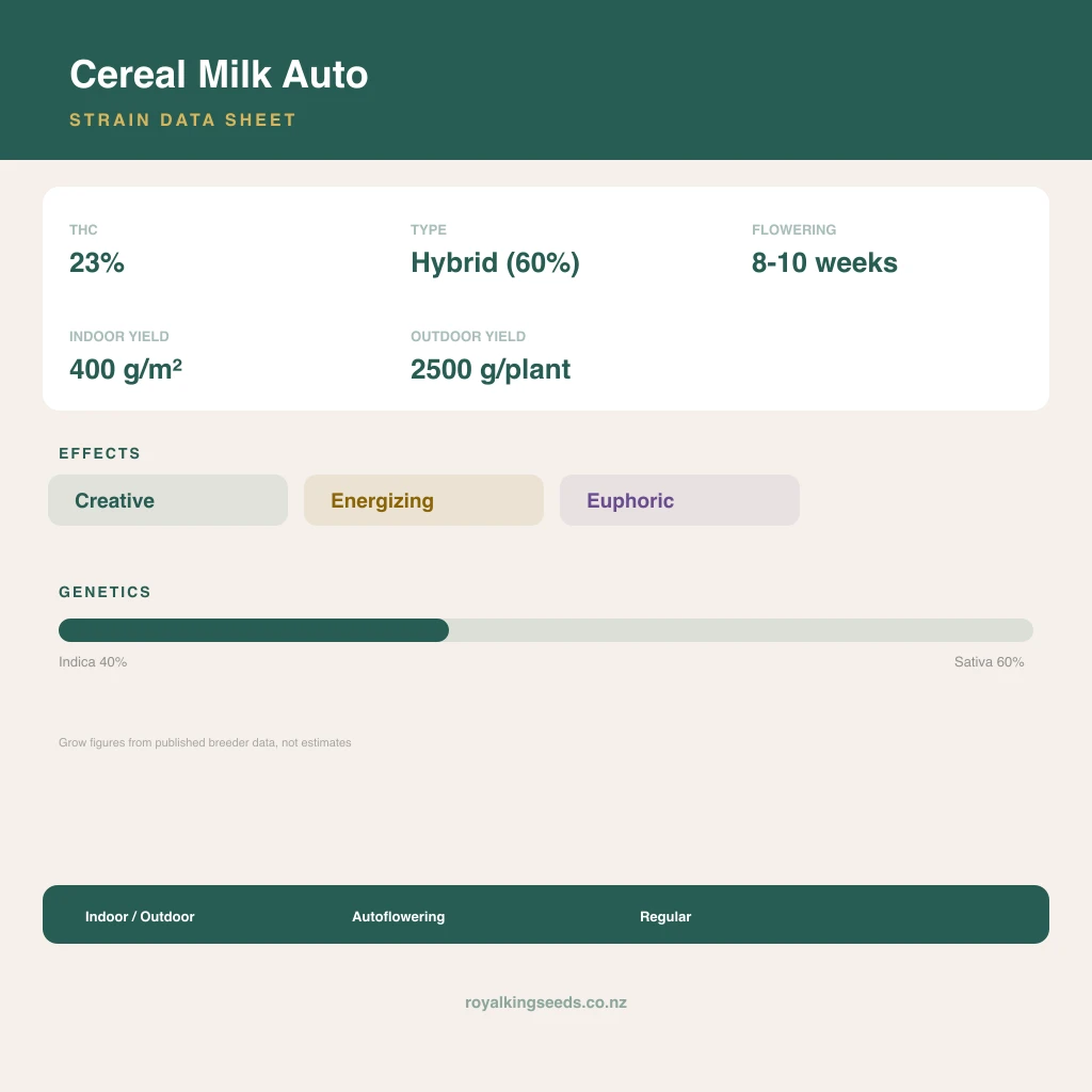 Cereal Milk 40% indica / 60% sativa flower with visible trichomes