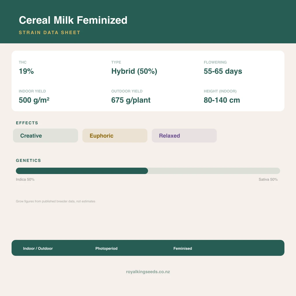 Cereal Milk 50% indica / 50% sativa flower with visible trichomes