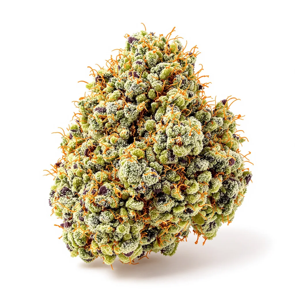 Champagne Kush 50% indica / 50% sativa flower with visible trichomes