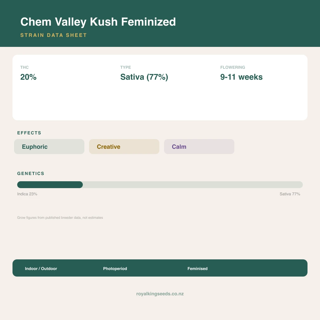 Chem Valley Kush 23% indica / 77% sativa flower with visible trichomes