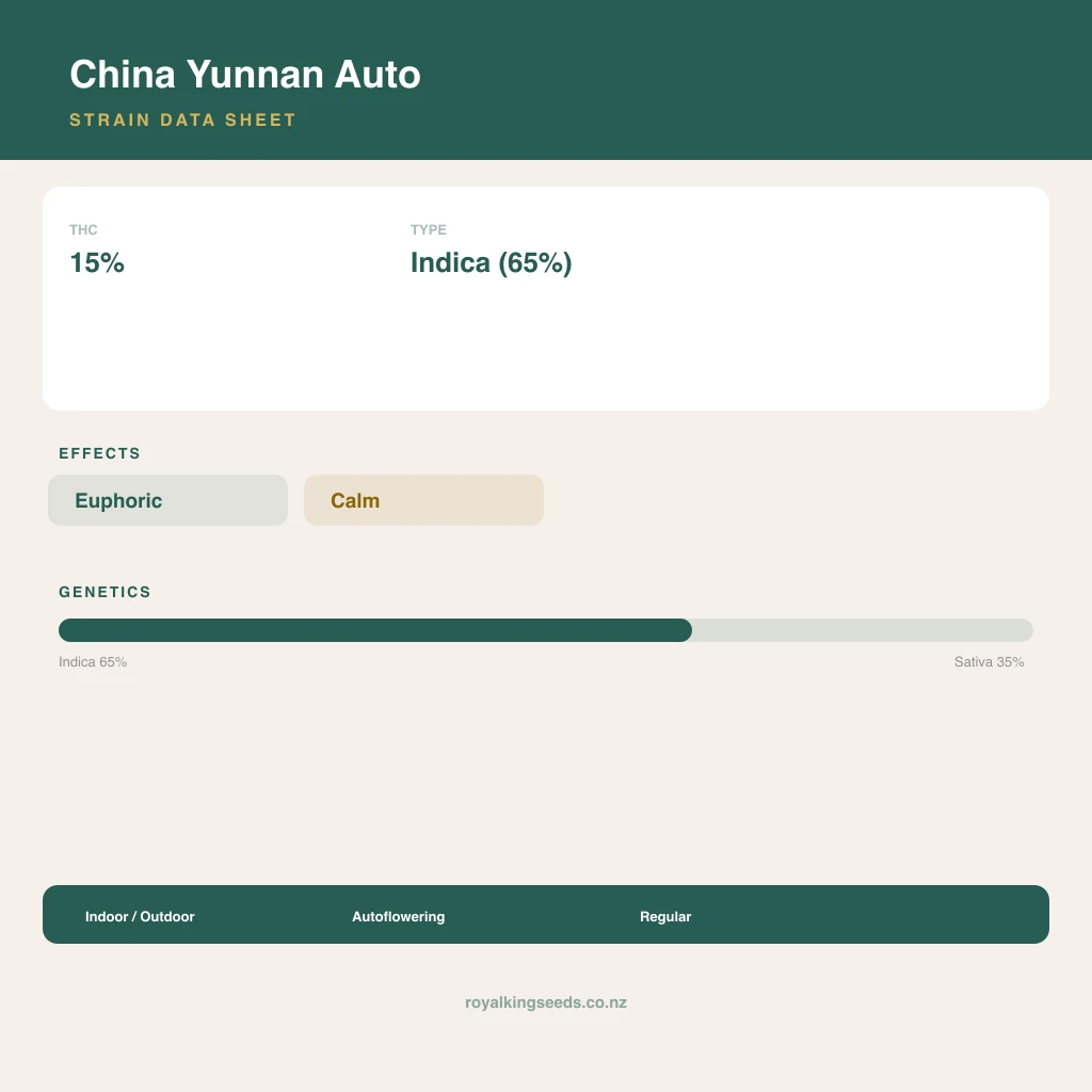 China Yunnan 65% indica / 35% sativa flower with visible trichomes