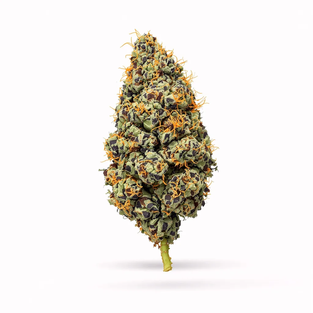 China Yunnan 65% indica / 35% sativa flower with visible trichomes