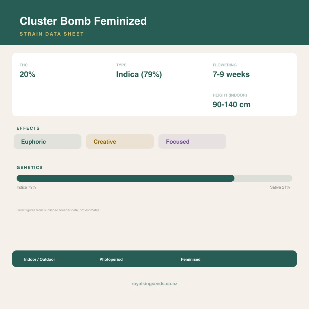 Cluster Bomb 79% indica / 21% sativa flower with visible trichomes