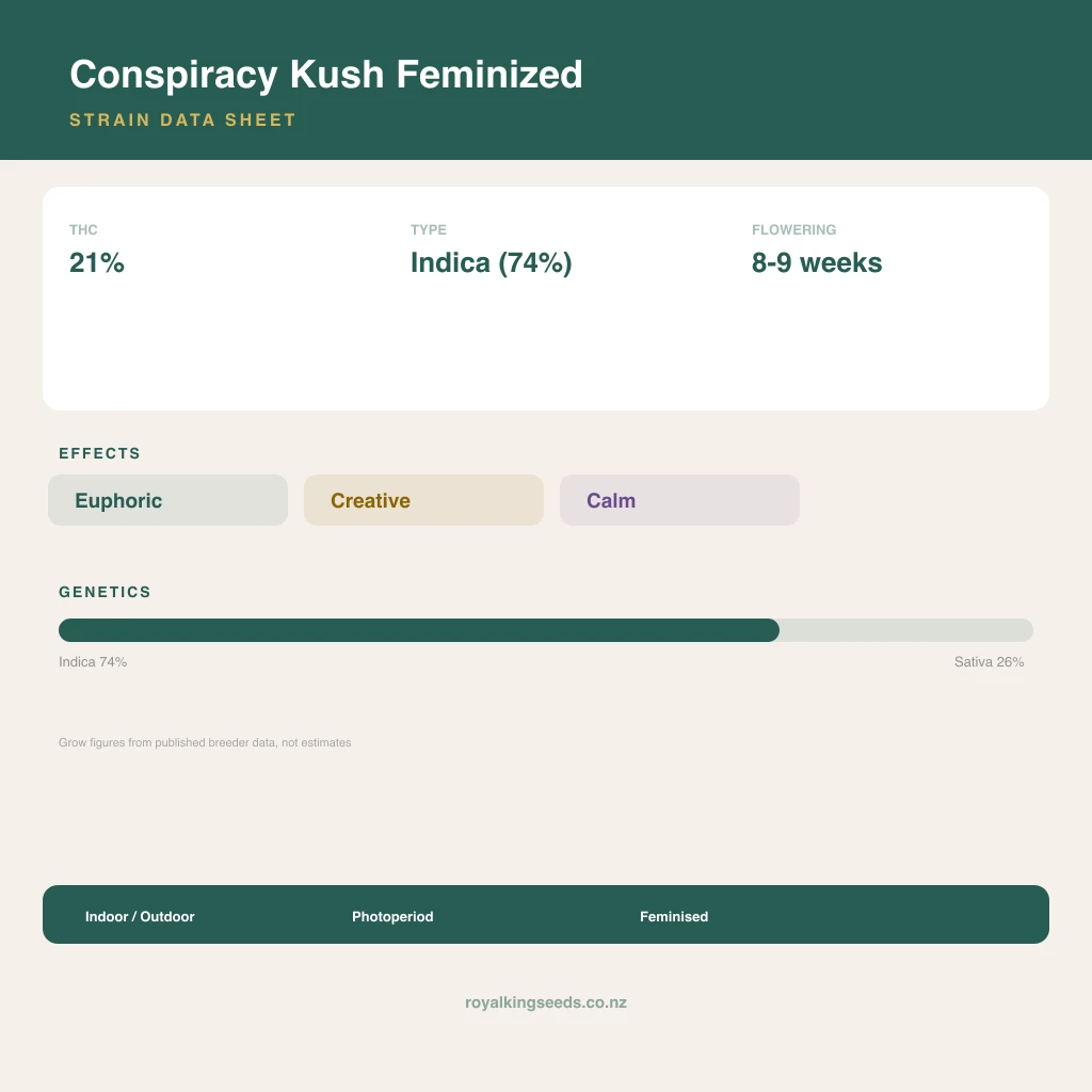 Conspiracy Kush 74% indica / 26% sativa flower with visible trichomes