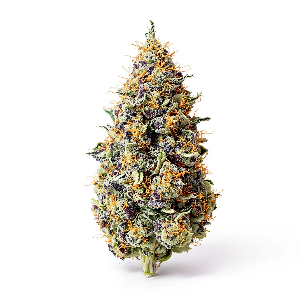 Cookie Jar 72% indica / 28% sativa flower with visible trichomes