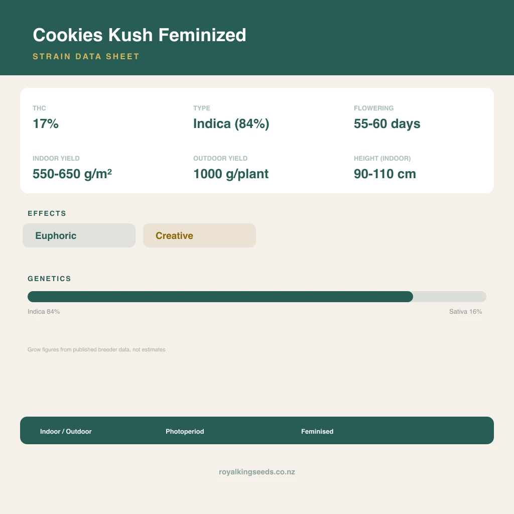 Cookies Kush 84% indica / 16% sativa flower with visible trichomes
