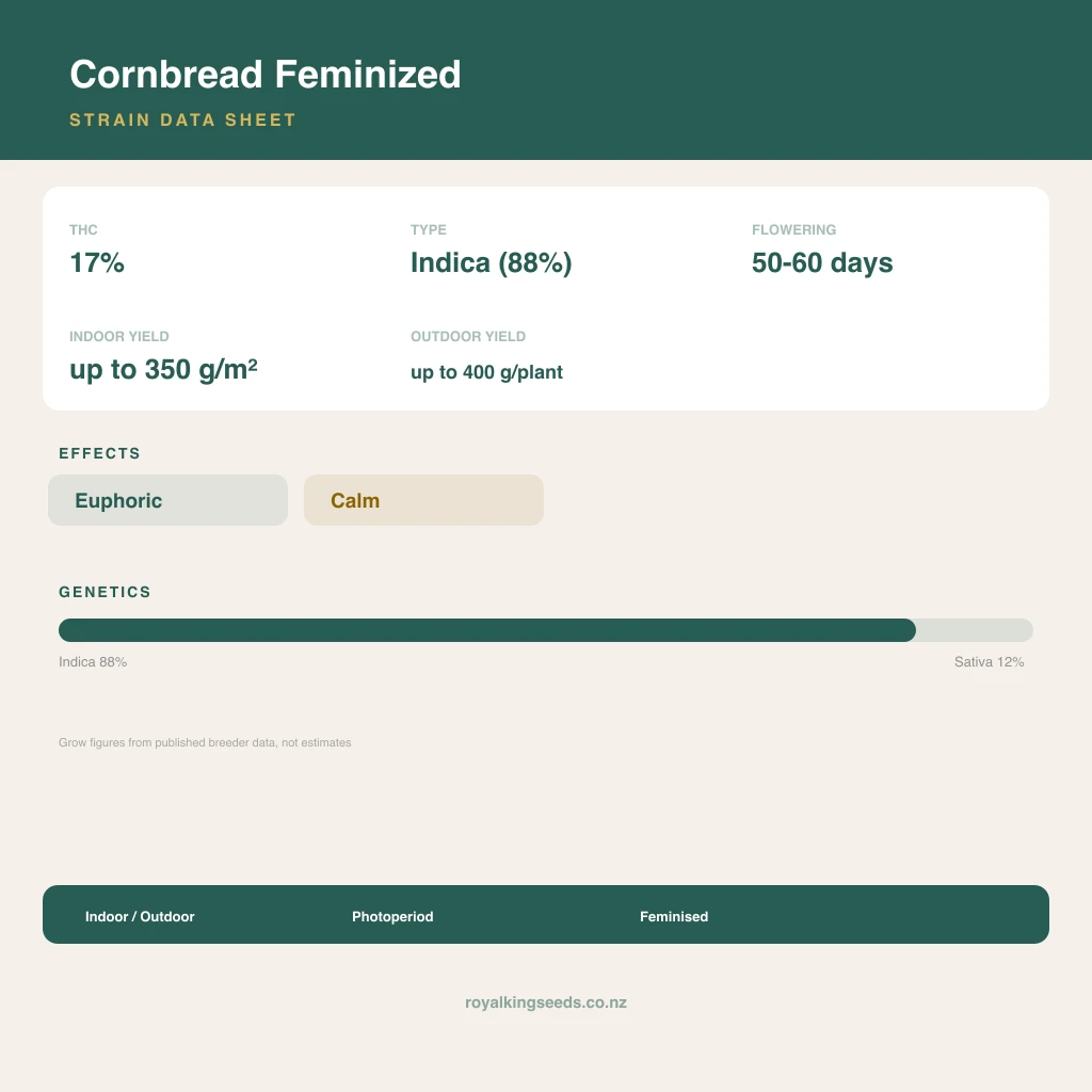 Cornbread 88% indica / 12% sativa flower with visible trichomes