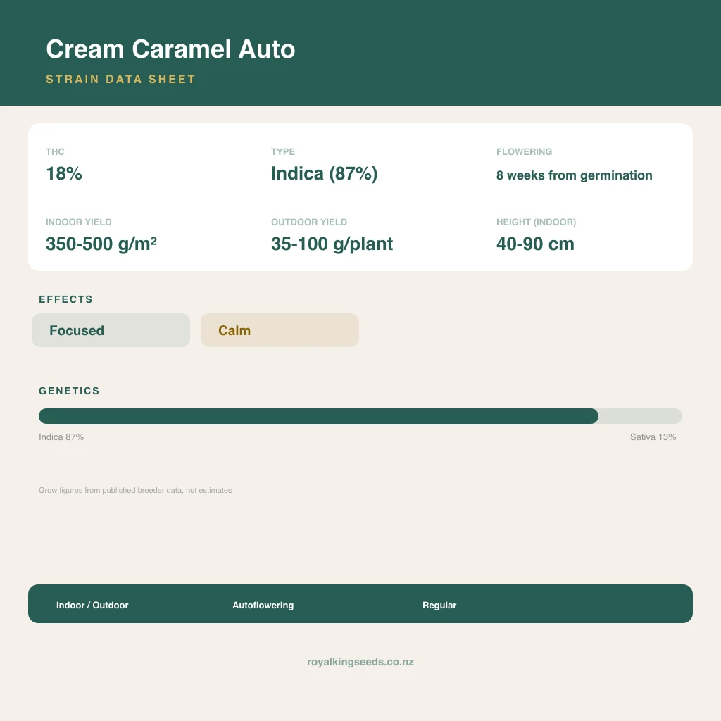 Cream Caramel 87% indica / 13% sativa flower with visible trichomes