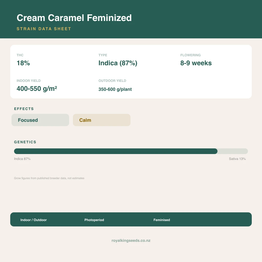Cream Caramel 87% indica / 13% sativa flower with visible trichomes