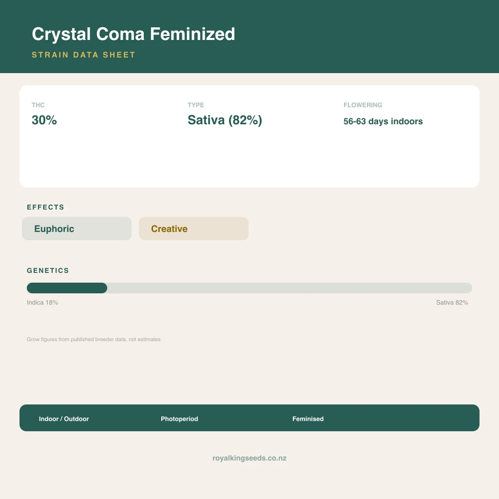 Crystal Coma 18% indica / 82% sativa flower with visible trichomes