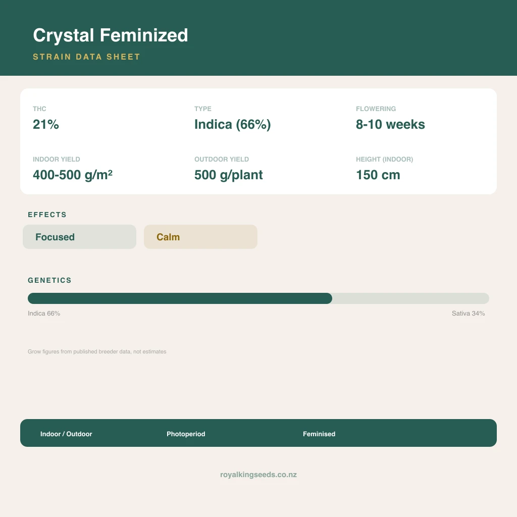 Crystal 66% indica / 34% sativa flower with visible trichomes