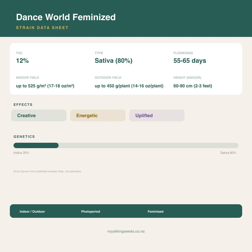 Dance World 20% indica / 80% sativa flower with visible trichomes