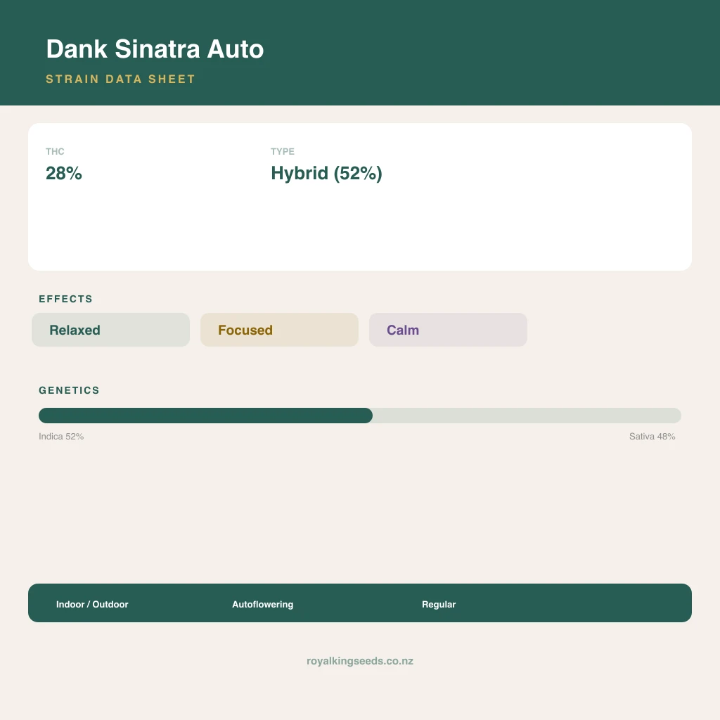 Dank Sinatra 52% indica / 48% sativa flower with visible trichomes