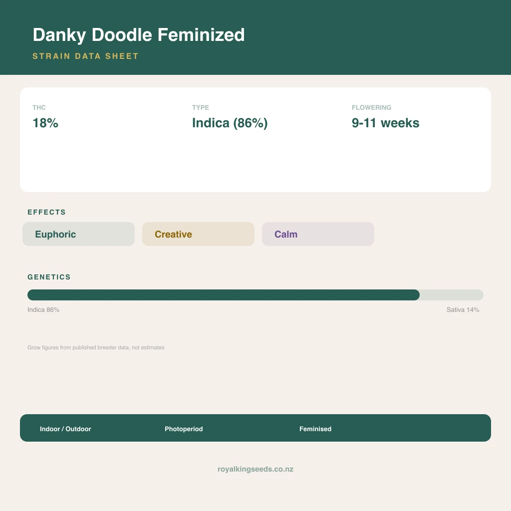 Danky Doodle 86% indica / 14% sativa flower with visible trichomes