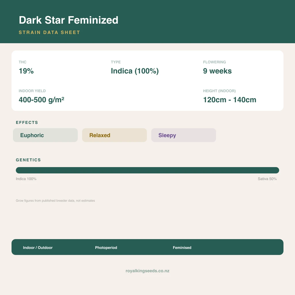 Dark Star 100% indica / 50% sativa flower with visible trichomes