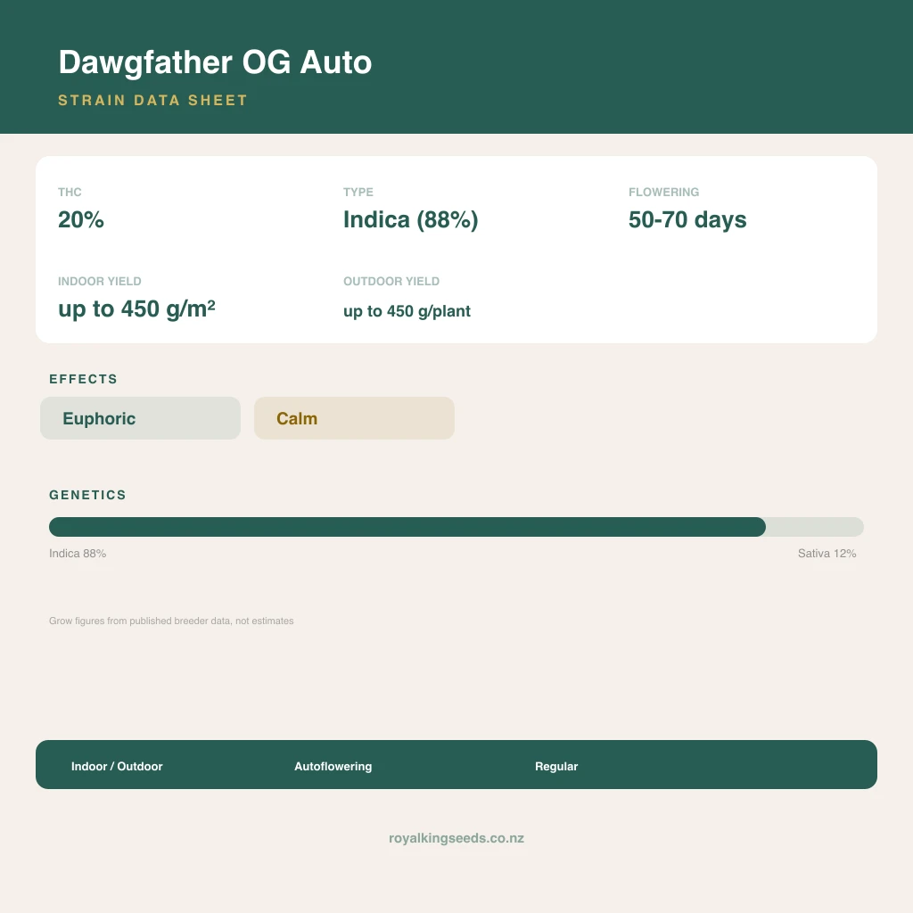 Dawgfather OG 88% indica / 12% sativa flower with visible trichomes