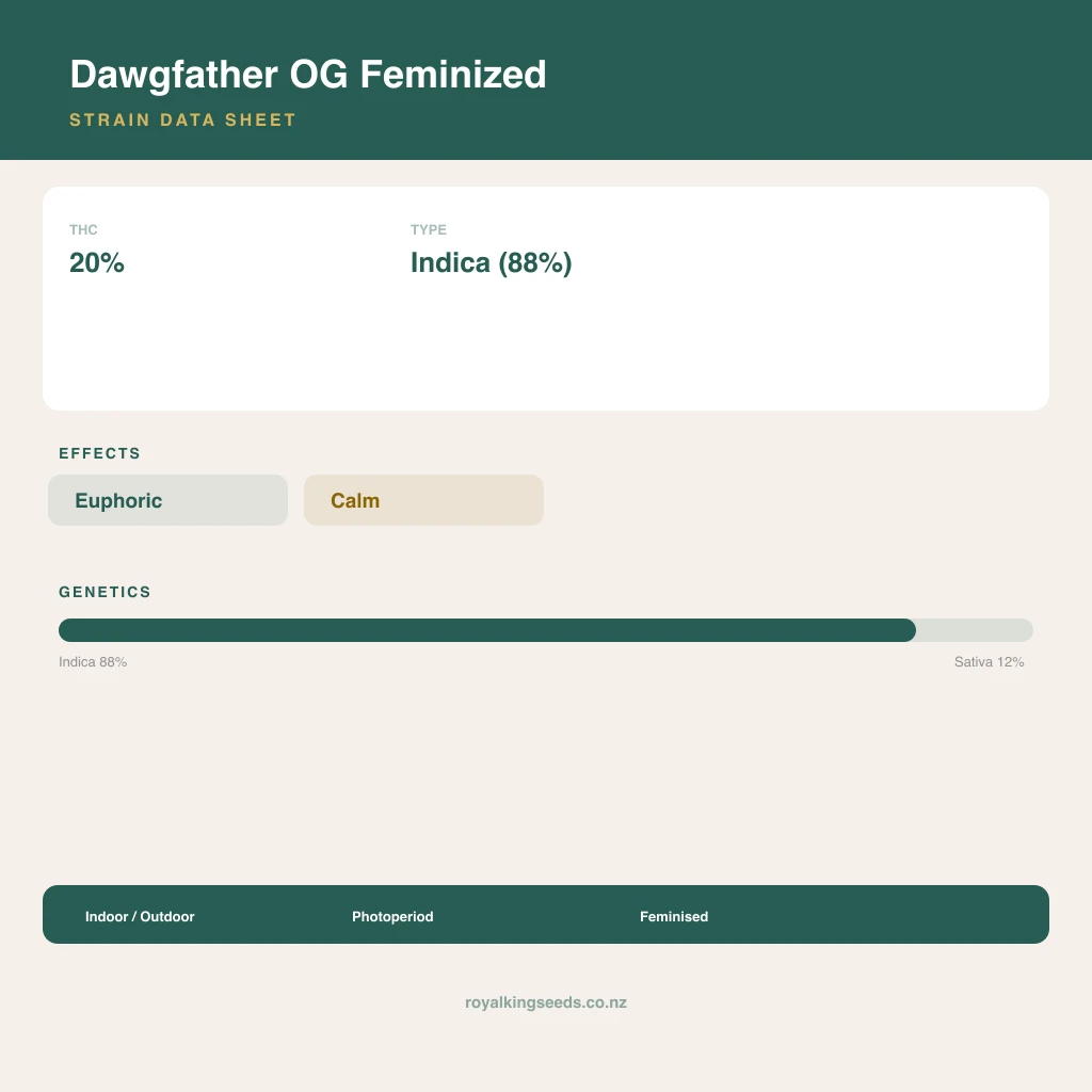 Dawgfather OG 88% indica / 12% sativa flower with visible trichomes