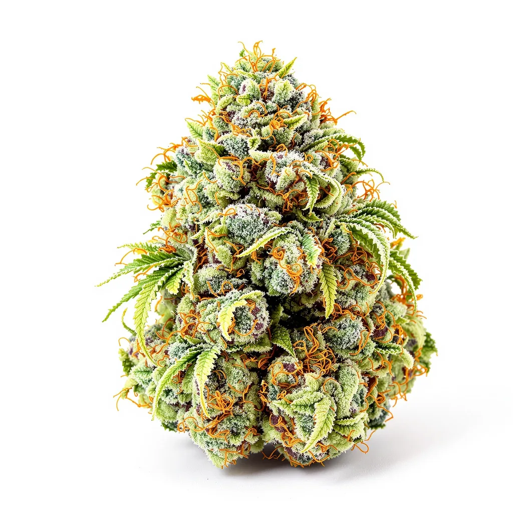 Diamond OG 50% indica / 40% sativa flower with visible trichomes