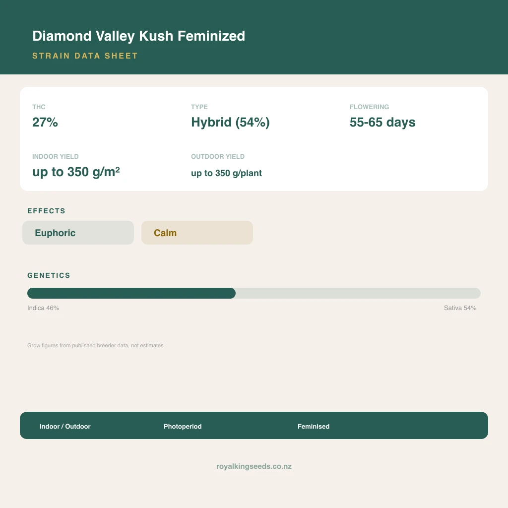 Diamond Valley Kush 46% indica / 54% sativa flower with visible trichomes