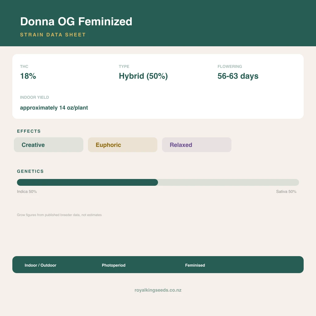 Donna OG 50% indica / 50% sativa flower with visible trichomes