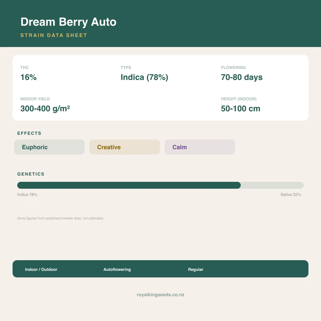 Dream Berry 78% indica / 22% sativa flower with visible trichomes