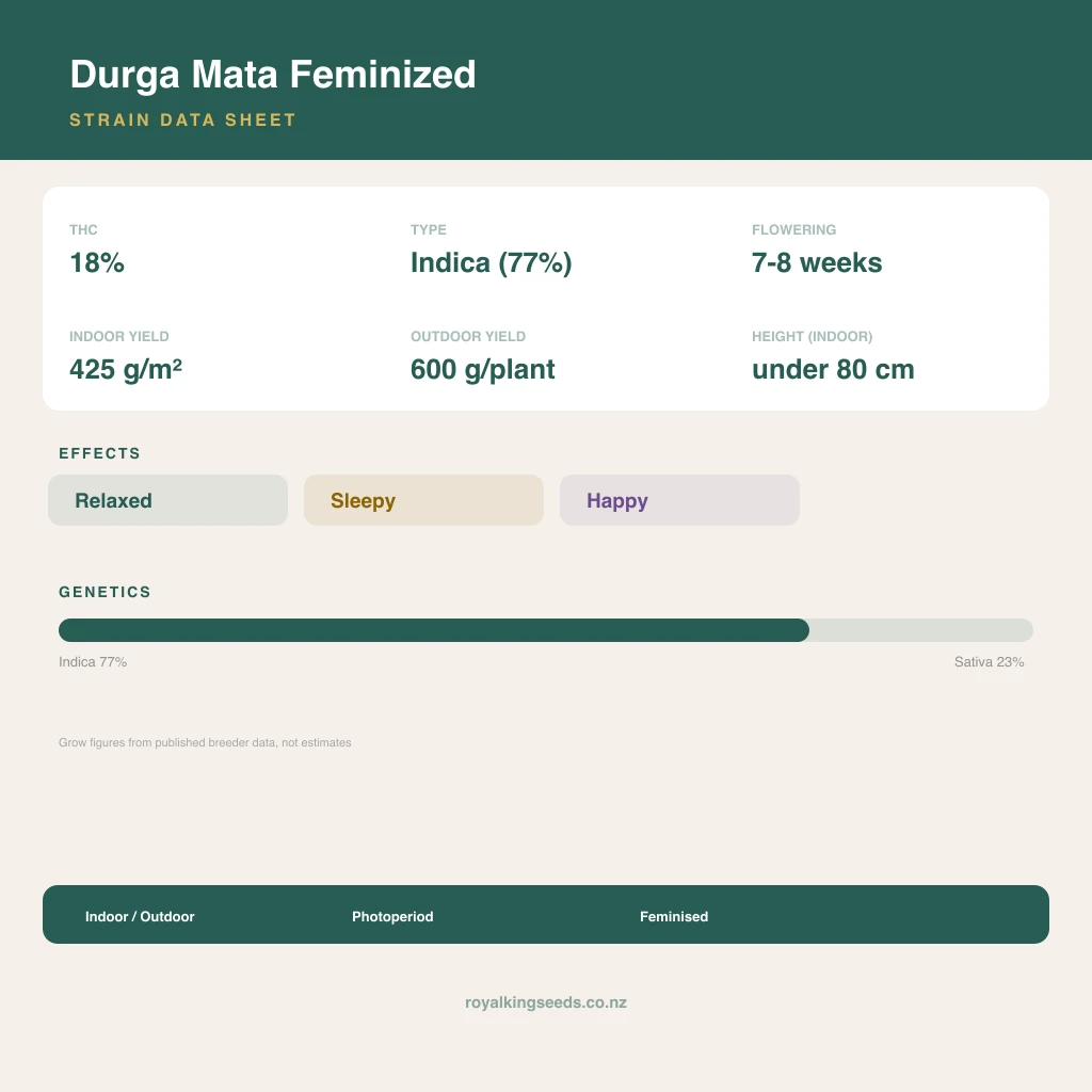 Durga Mata 77% indica / 23% sativa flower with visible trichomes