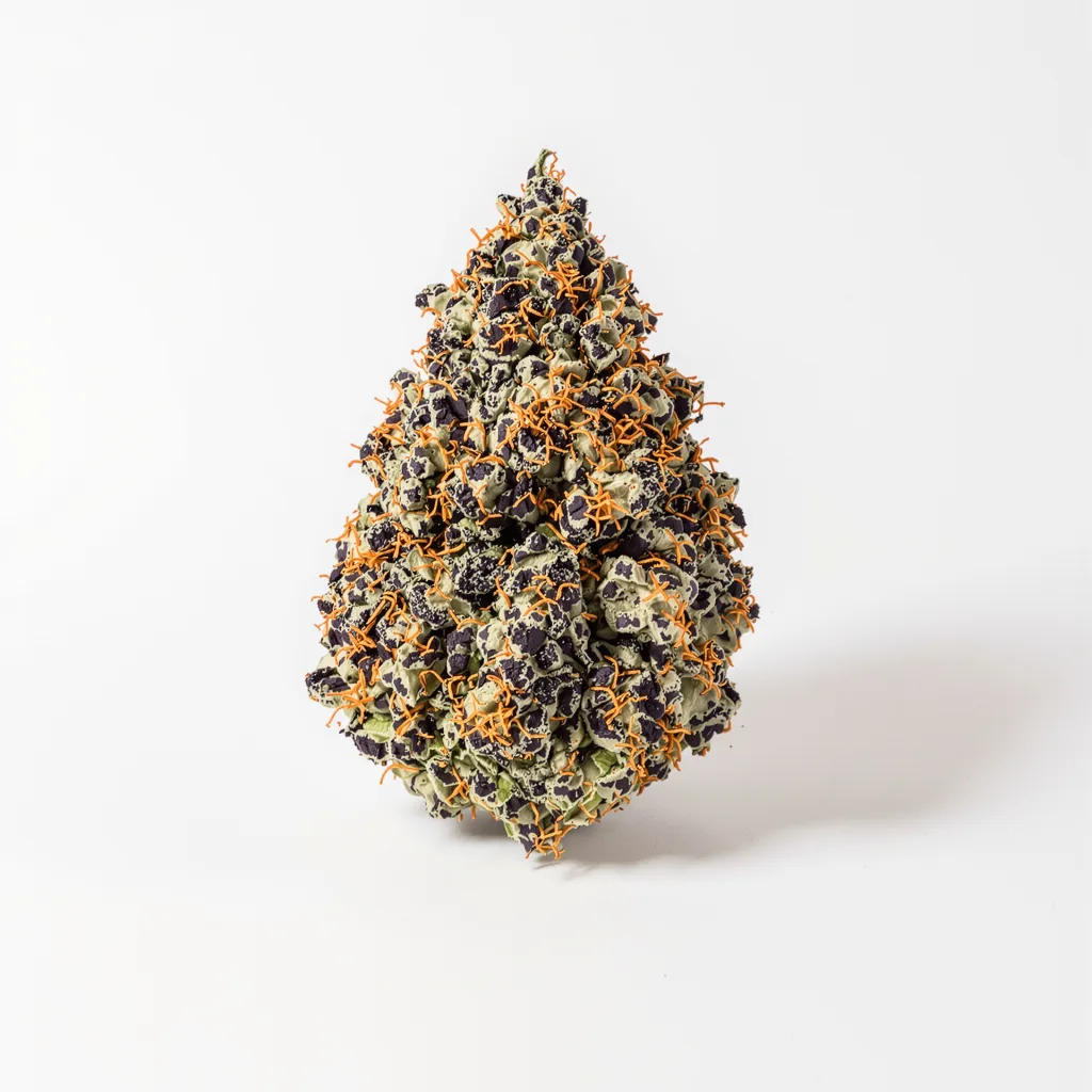 Dutch Kush 70% indica / 30% sativa flower with visible trichomes