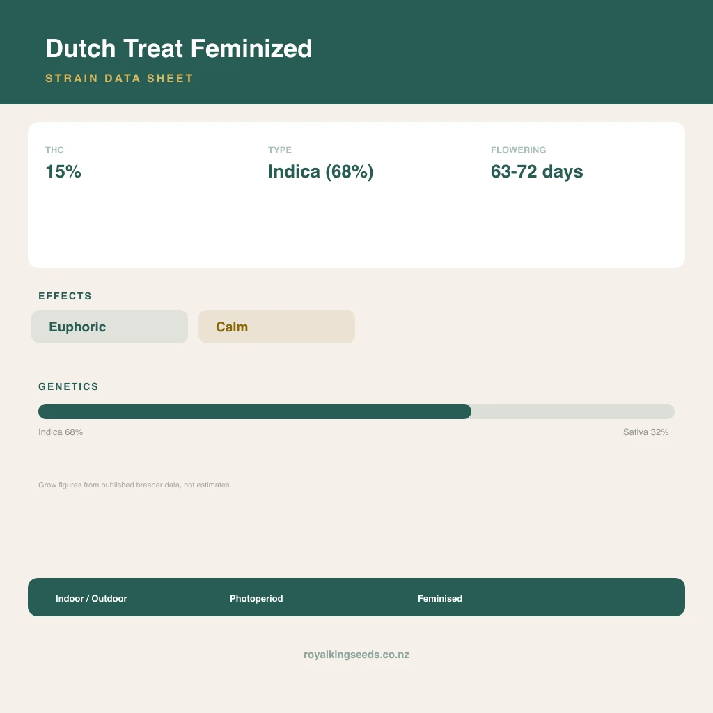 Dutch Treat 68% indica / 32% sativa flower with visible trichomes