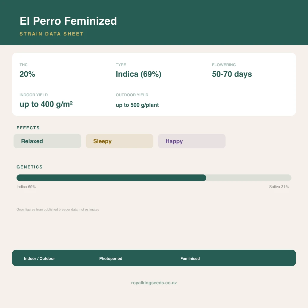 El Perro 69% indica / 31% sativa flower with visible trichomes