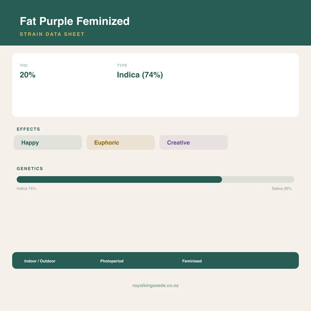 Fat Purple 74% indica / 26% sativa flower with visible trichomes