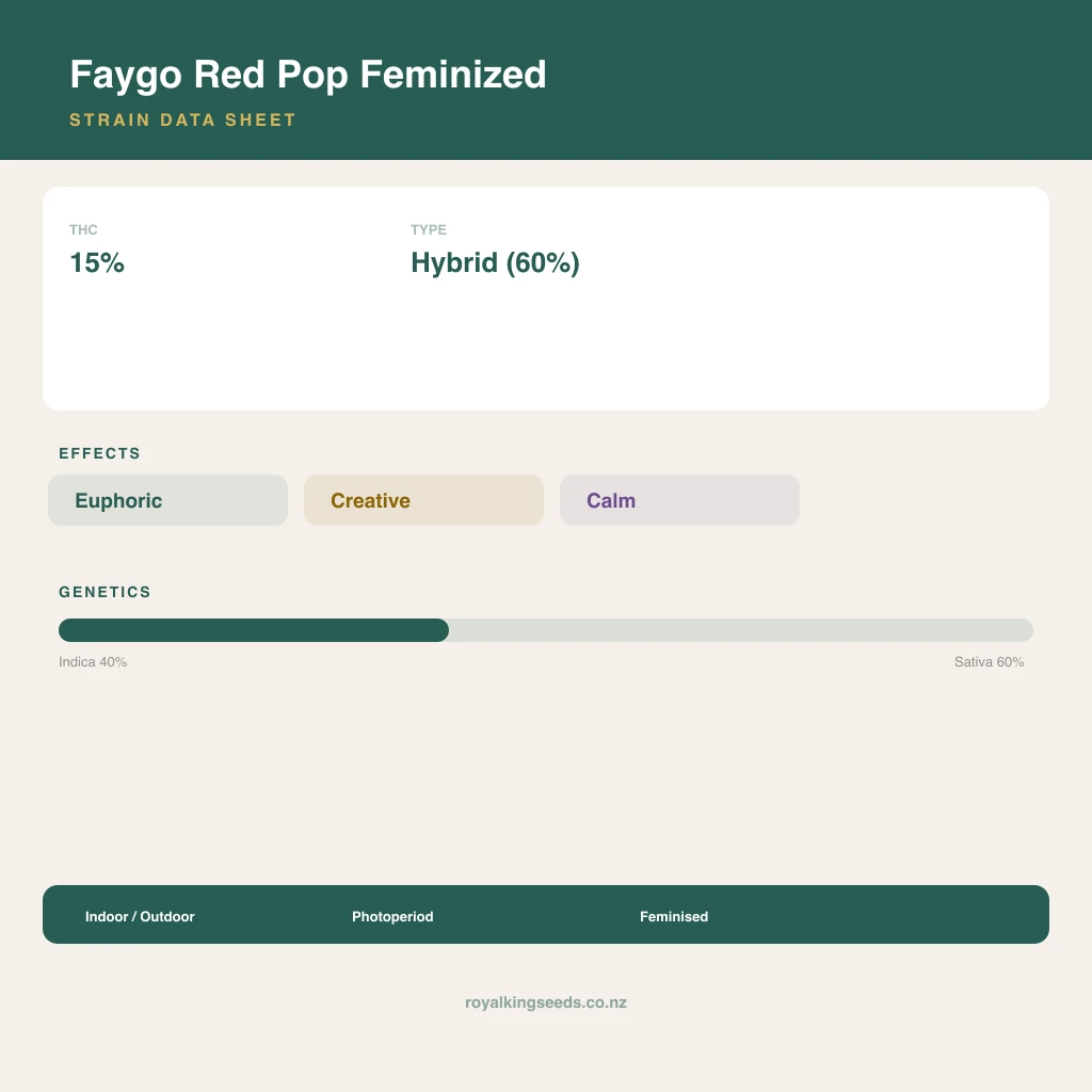 Faygo Red Pop 40% indica / 60% sativa flower with visible trichomes
