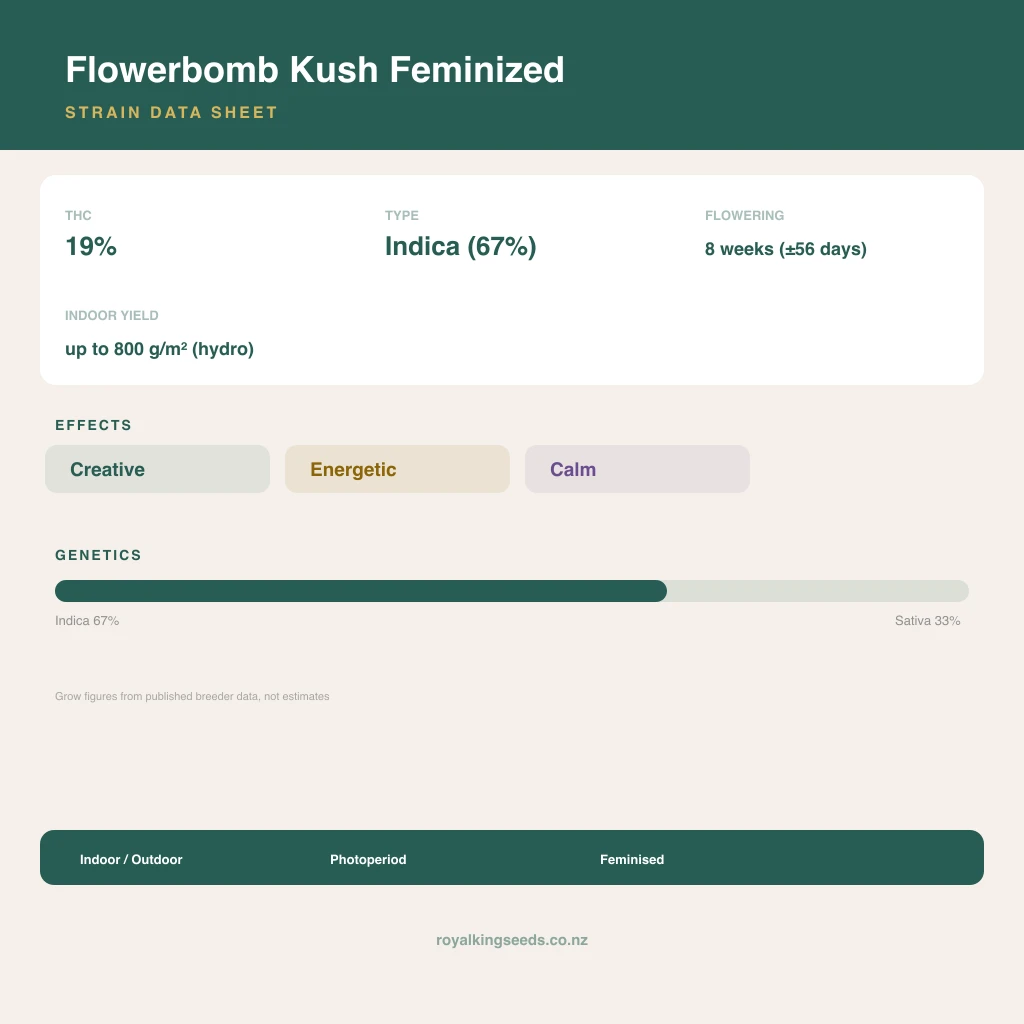 Flowerbomb Kush 67% indica / 33% sativa flower with visible trichomes