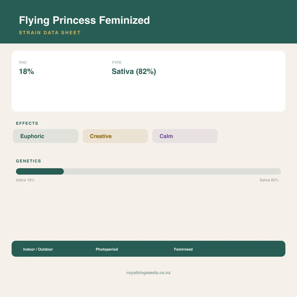 Flying Princess 18% indica / 82% sativa flower with visible trichomes