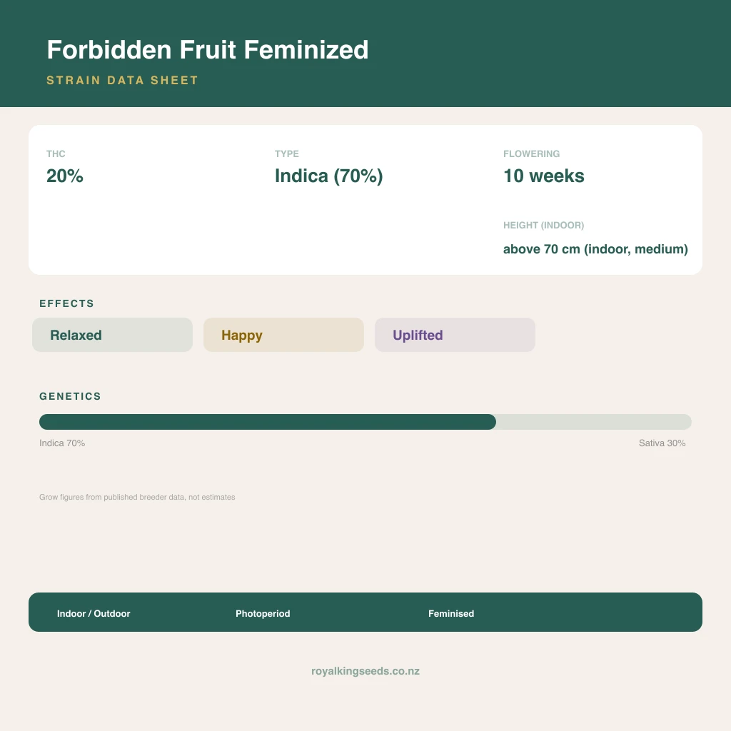 Forbidden Fruit 70% indica / 30% sativa flower with visible trichomes