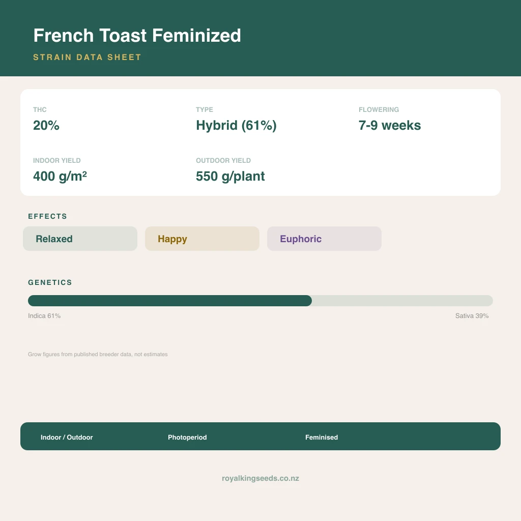 French Toast 61% indica / 39% sativa flower with visible trichomes