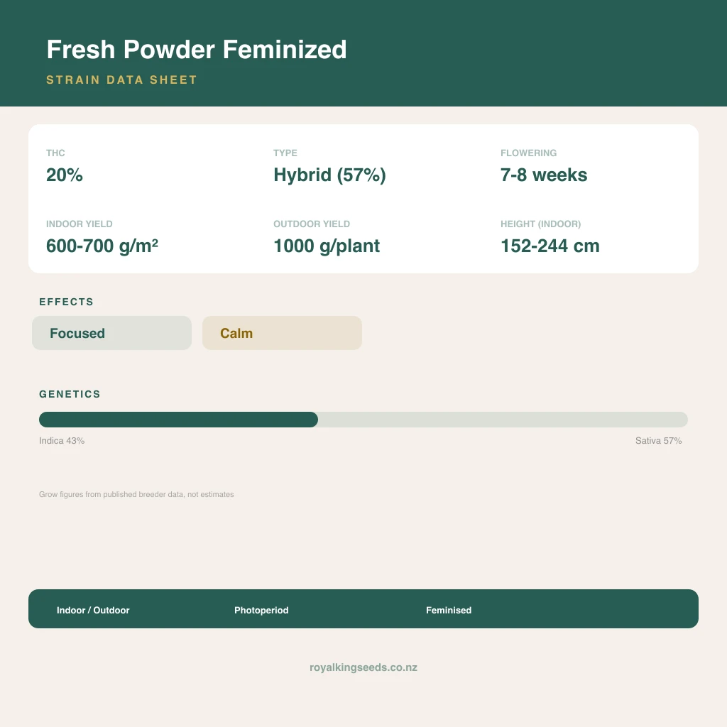 Fresh Powder 43% indica / 57% sativa flower with visible trichomes