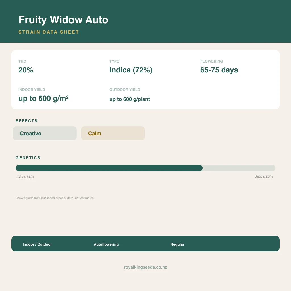 Fruity Widow 72% indica / 28% sativa flower with visible trichomes