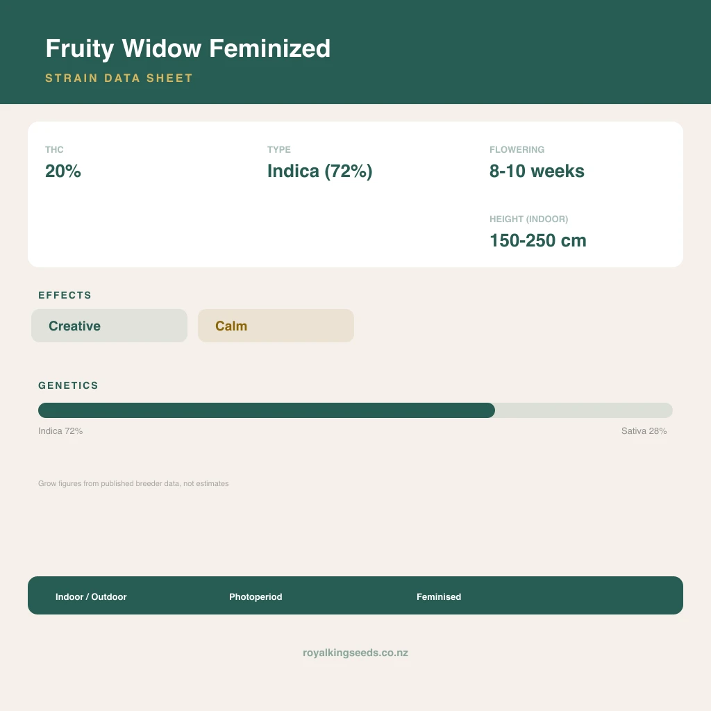 Fruity Widow 72% indica / 28% sativa flower with visible trichomes