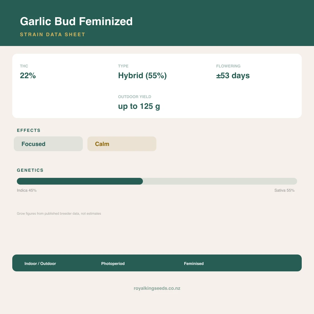 Garlic Bud 45% indica / 55% sativa flower with visible trichomes