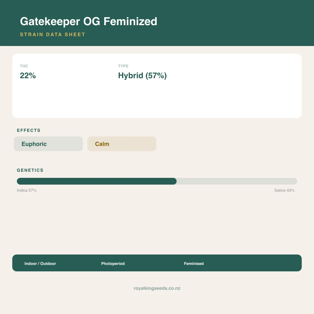 Gatekeeper OG 57% indica / 43% sativa flower with visible trichomes