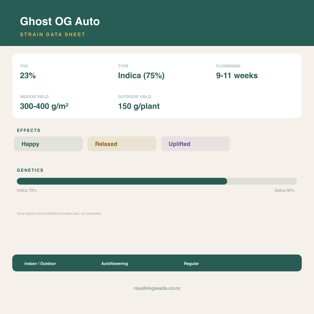 Ghost OG 75% indica / 50% sativa flower with visible trichomes