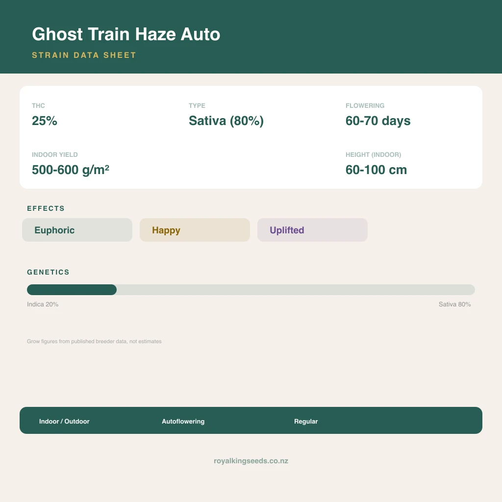 Ghost Train Haze 20% indica / 80% sativa flower with visible trichomes