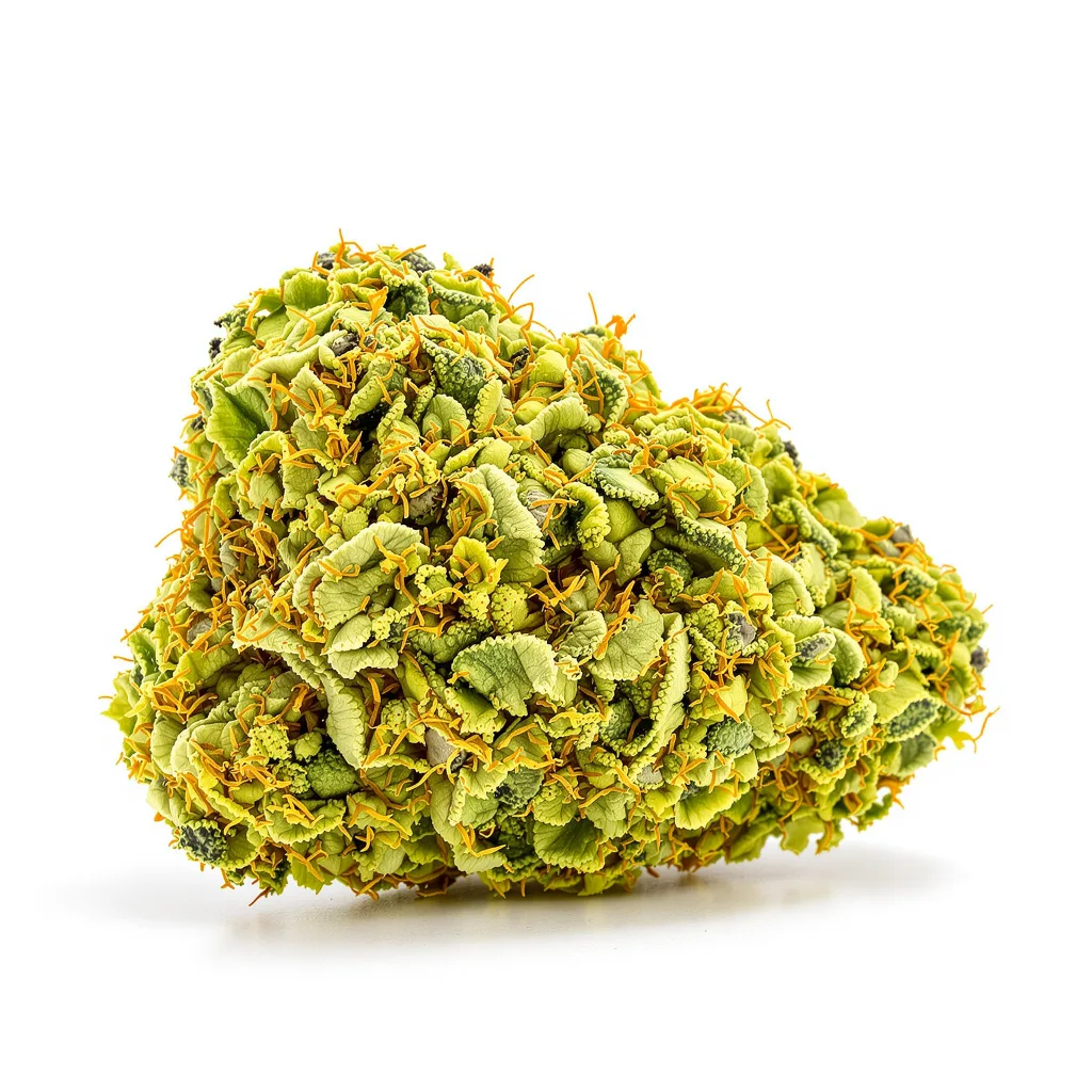 Ghost Train Haze 20% indica / 80% sativa flower with visible trichomes